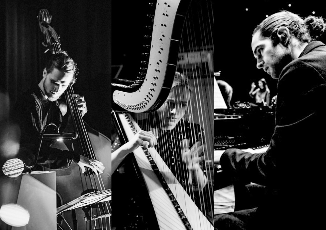 Concertfoto 139 Strings